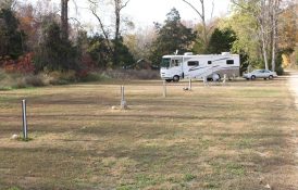 RV Availability (Pet Friendly)