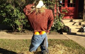 Scarecrow Contest