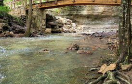 Natural Bridge