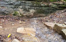 Natural Bridge